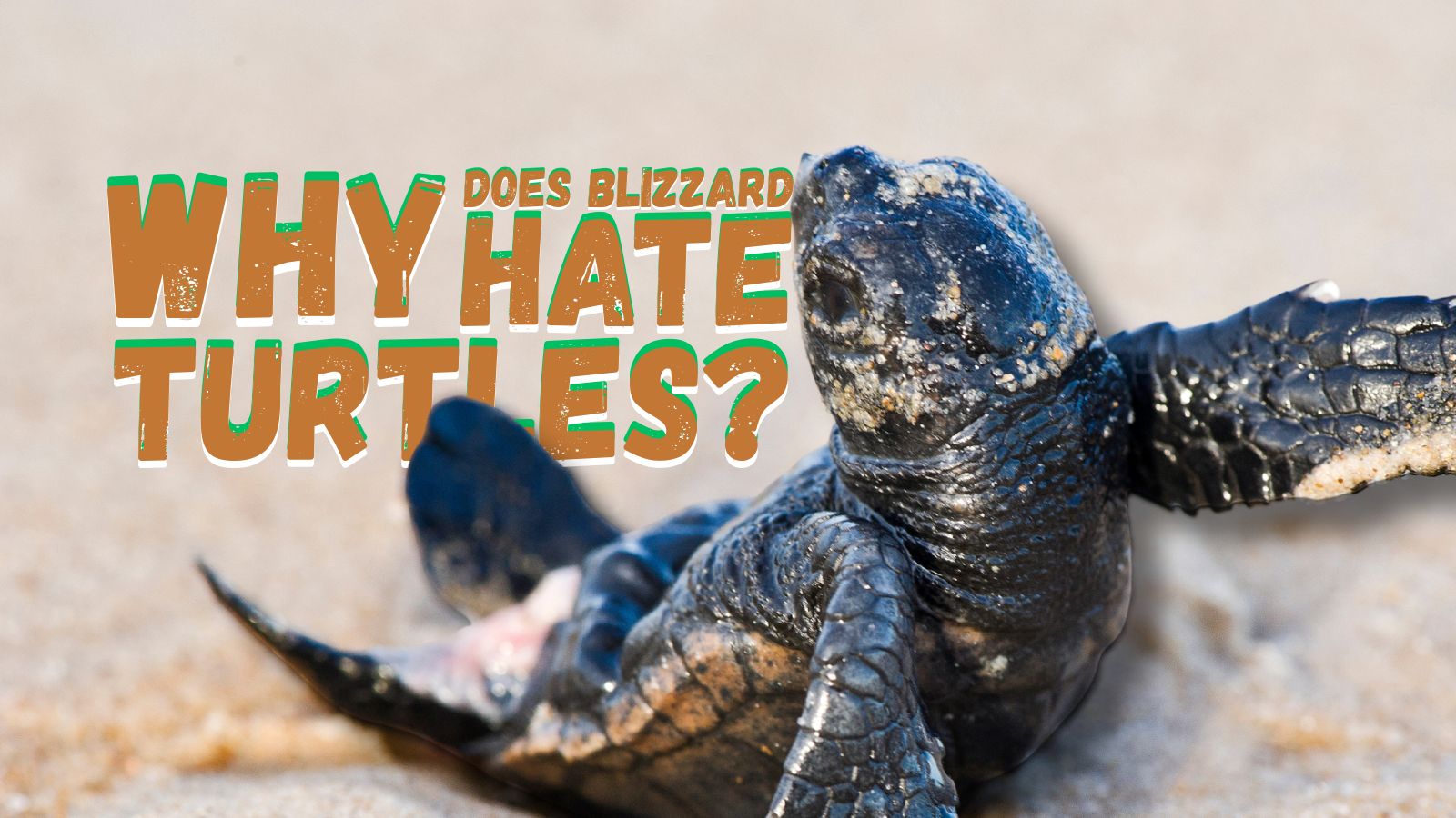 Blizzard Killed Turtle WoW and I Get It. But Also, Come On.